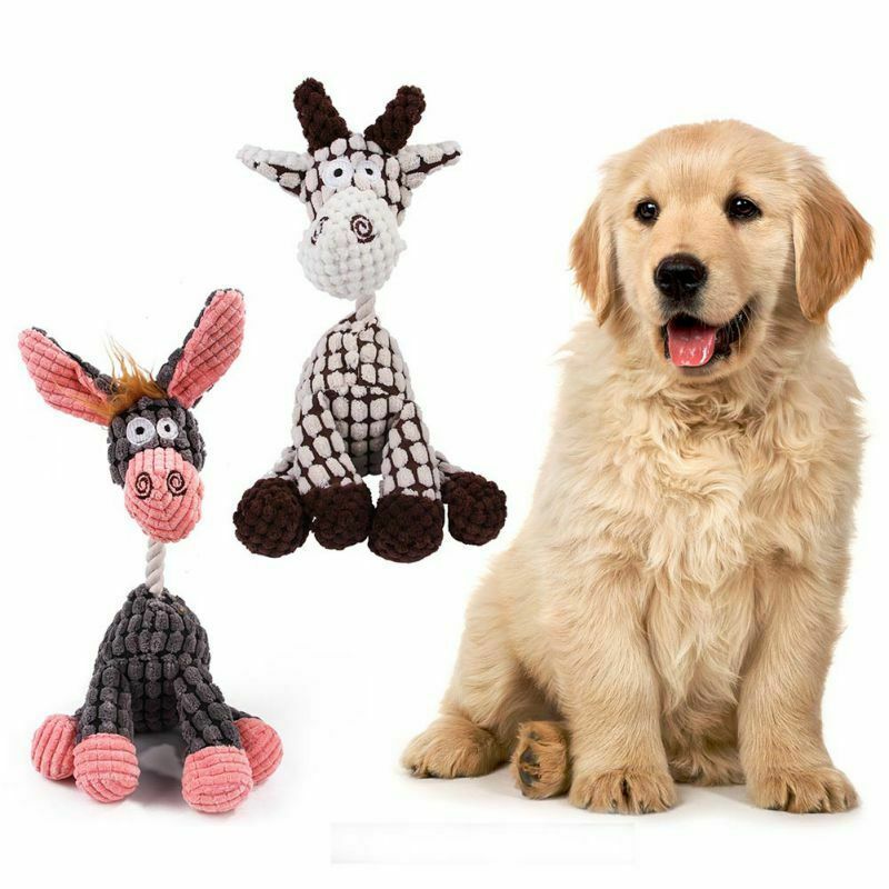 Funny Squeaky Plush Dog Toy – Chew Toy for Puppies & Small Dogs
