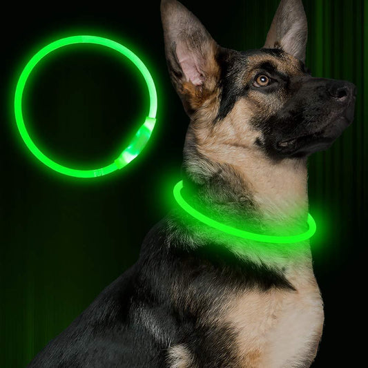 LED Dog Collar – USB Rechargeable, Waterproof Light-Up Safety Necklace for Night Walking