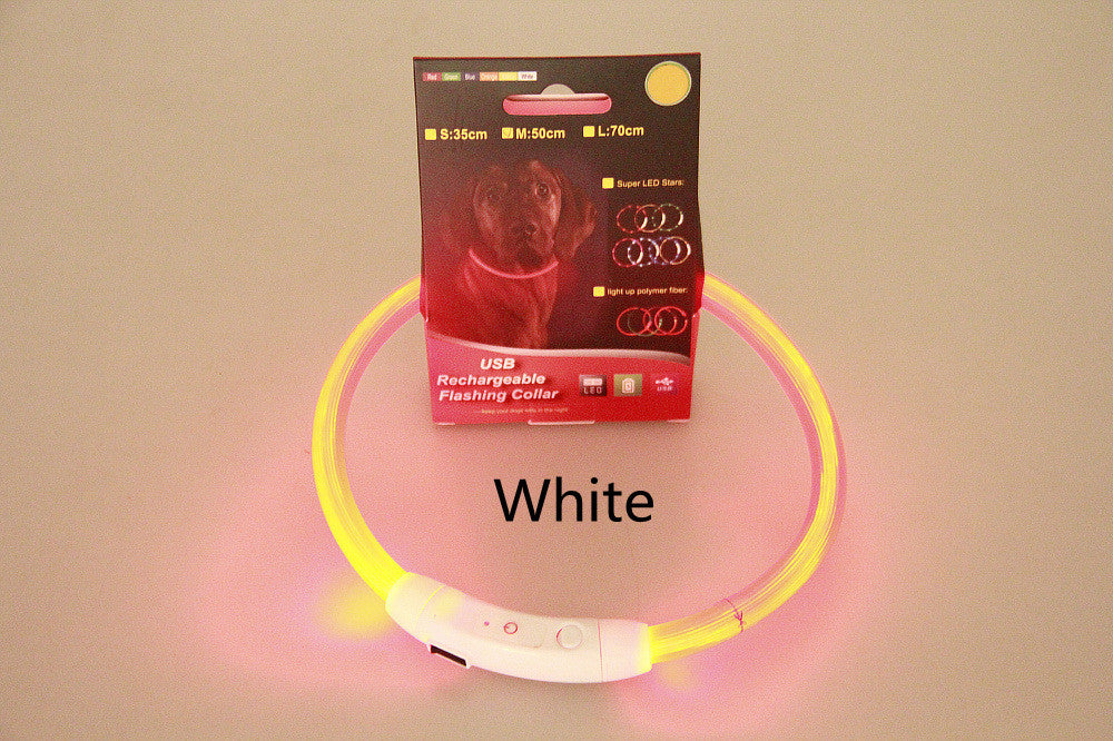 LED Dog Collar – USB Rechargeable, Waterproof Light-Up Safety Necklace for Night Walking
