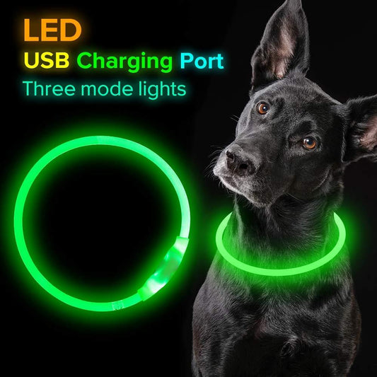 LED Dog Collar – USB Rechargeable, Waterproof Light-Up Safety Necklace for Night Walking
